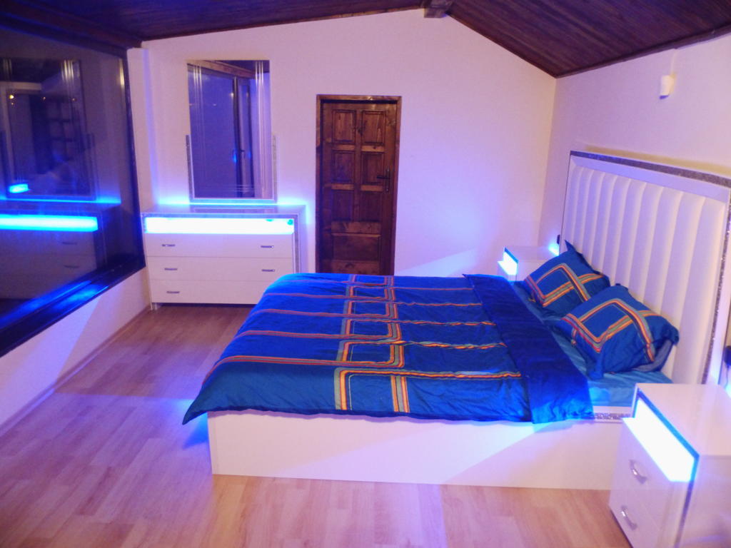 Villa Topola Room photo